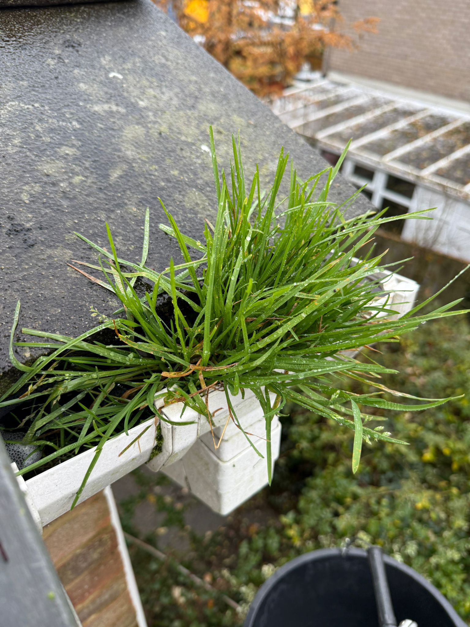 Blocked gutter downpipe in Colindale